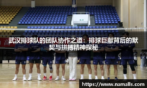 武汉排球队的团队协作之道：排球巨献背后的默契与拼搏精神探秘